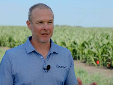 Storen corn herbicide provides season-long weed control