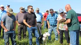 Regenerative system includes cattle grazing with virtual fencing