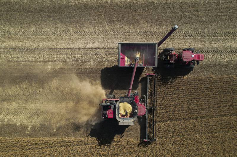 A combine unloads grain into a wagon while harvesting soybeans at a farm near Allerton in eastern Illinois.