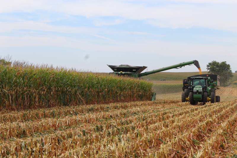 Elmer Rahn unloads corn into the Brent grain cart as he combines with his X9 machine on the northern Illinois farm. The warm, dry weather has resulted in corn that is three to four points drier than typical at this time of the year.