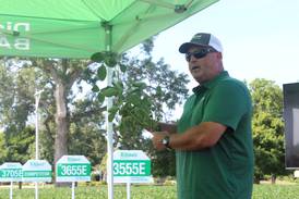 Changing management practices impacts soybean growth