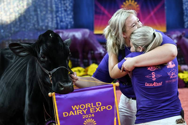Entries are officially open for the 2025 Dairy Cattle Show at the World Dairy Expo.
