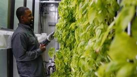 Indianapolis man grows lettuce, herbs in shipping containers
