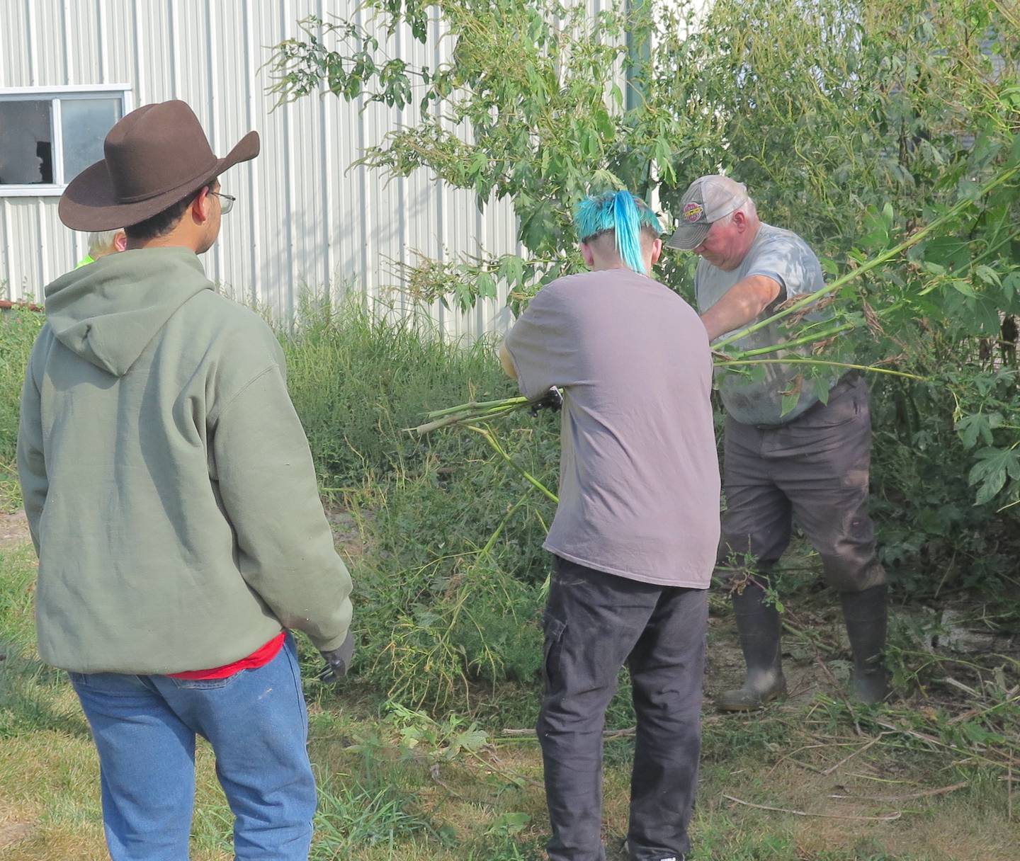 Two Hammitt School students help Ken Ropp clear some landscape as part of a jobs program offered by the school in Normal, Illinois. Ropp Jersey Cheese has been a long-time partner in the program.