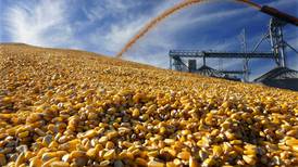 Mexico rescinds biotech corn ban
