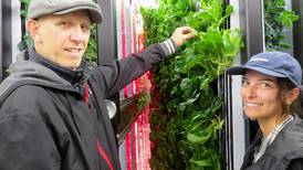 Farm fresh: Edible Campus program aims to innovate, educate, serve NIU students, community 