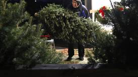 Time to pick a Christmas tree, but real or fake? Environmentalists actually say real, if you can