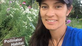 Diversity is key for healthy ecosystems on farms
