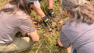 Connecting vets to farms: Nonprofit helps next generation of veterans