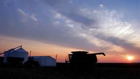 USDA raises soybean ending stocks; corn down