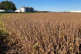 Indiana crop progress