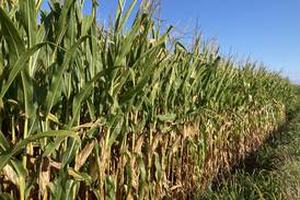 Indiana crop progress for week ending Aug. 24