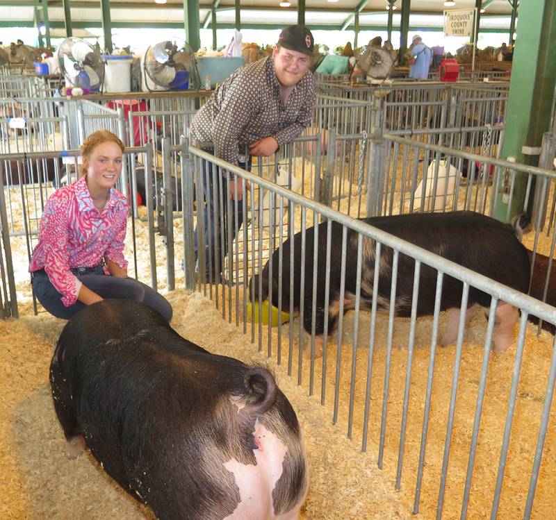Hannah and Hayden Miller take a short break in between swine competitions and chores at the Illinois State Fair. The siblings, along with their brother, Holden, represent the family’s fourth generation of showing swine. Holden and Hayden also competed in the beef show at the fair. The triplets did their first show when they were 4 years old at the World Pork Expo in Iowa.