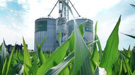 Preventing grain dust explosions