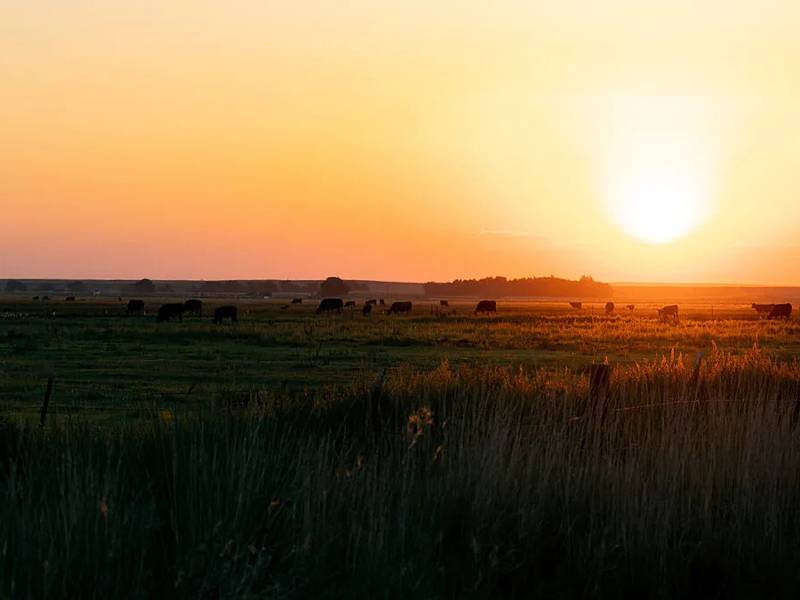 2025 in review: How agriculture persevered through challenges this year