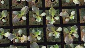 U.S. sees $18.3 billion in horticulture sales