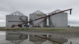 Stored crops up from year ago
