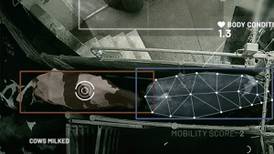 GEA sees new potential in dairy breeding as CattleEye data supports genetic approaches to lameness