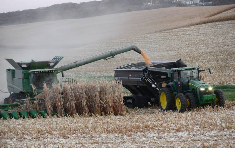 A combine picks corn in a field between Oregon and Mt. Morris on Saturday, Oct. 26. 2024. Dry, warm weather has given farmers good conditions to get their crops harvested.
