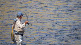 From pond to plate: How to cook fish for flavor, safety