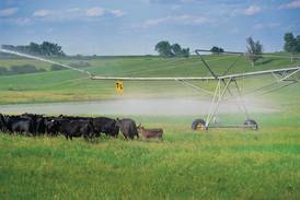 Strong beef prices make now a good time for ranchers to consider irrigation investment