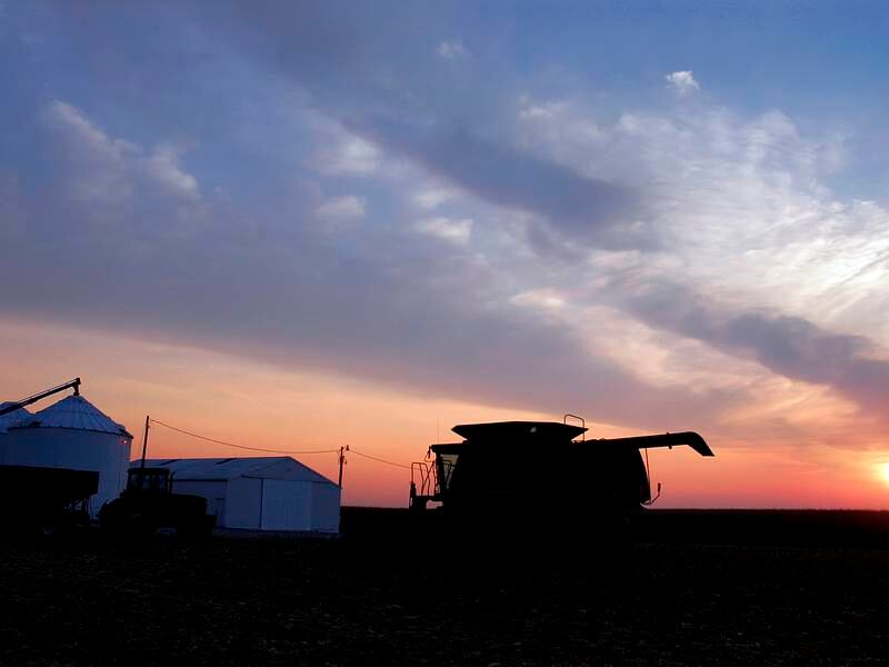 USDA raises soybean ending stocks; corn down