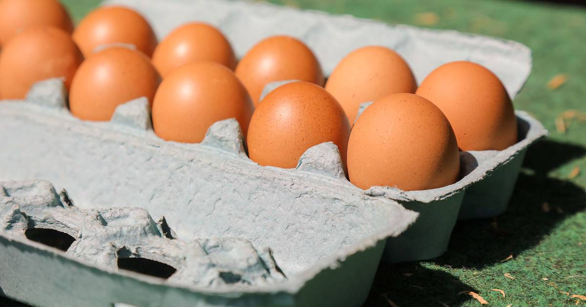 food-price-inflation-to-remain-high-impacts-variable-agrinews