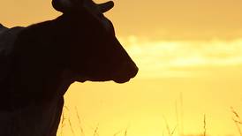 2026 Illinois AgSource Directory