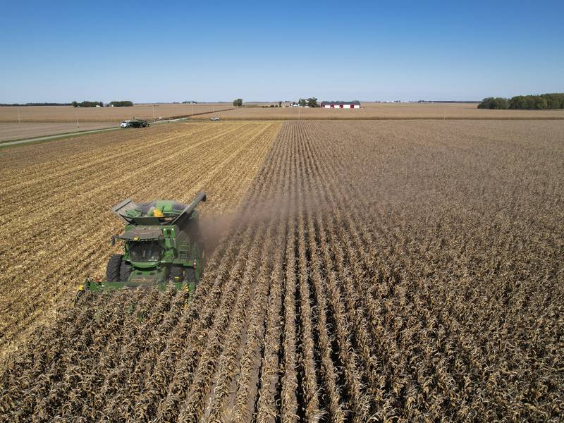 Corn, soybean year-over-year ending stocks lower