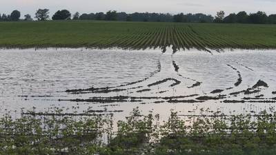 New Ag Climate Dashboard makes climate resources more accessible for Midwest farmers