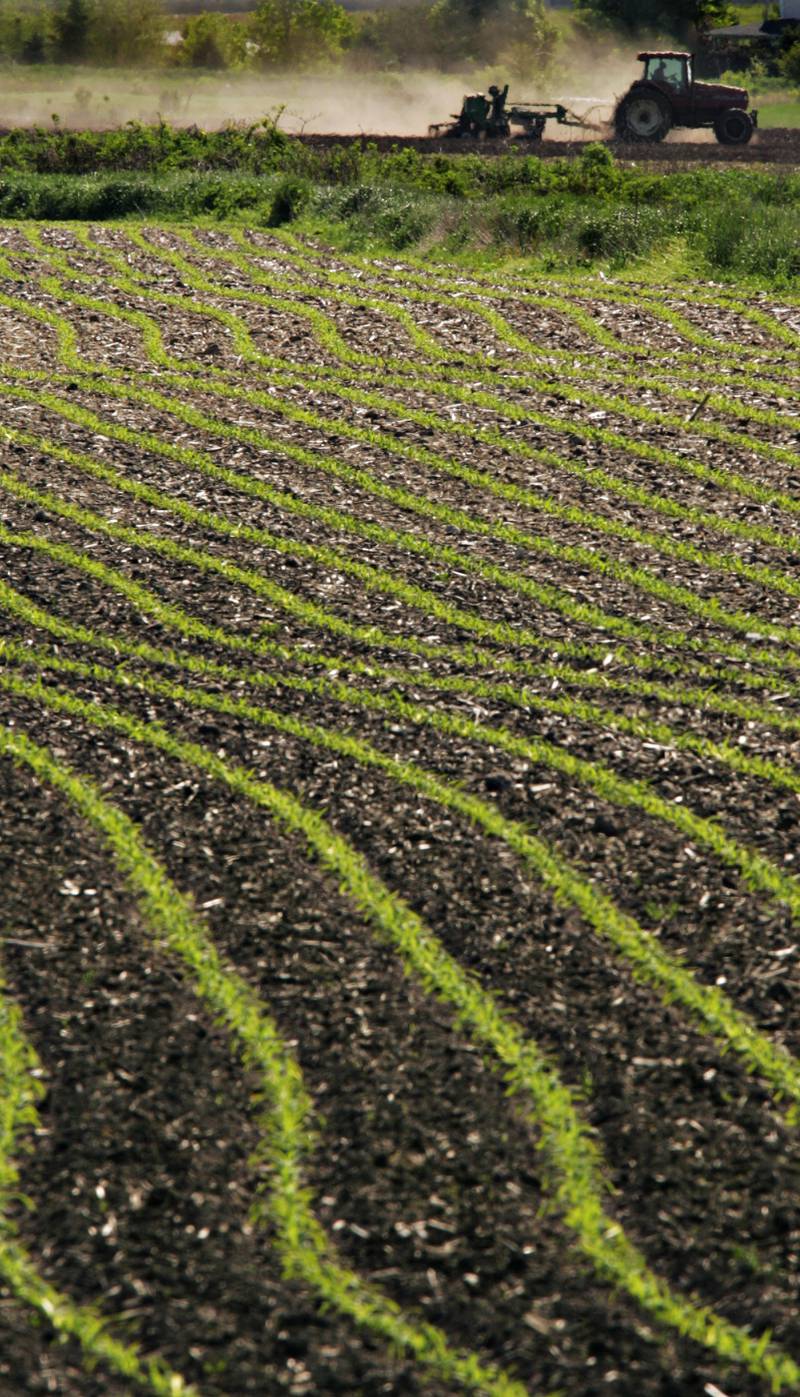 A farmer plants soybeans near Hampshire in northeastern Illinois.
