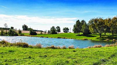 Calendar: Management strategies for farm ponds