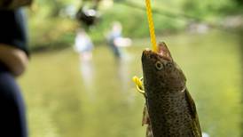 How to stock your pond