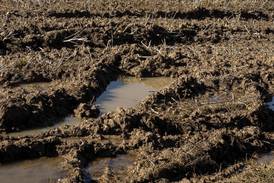 Wet start to March impacts field conditions