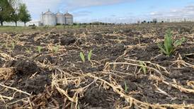 Illinois crop progress for week ending May 18