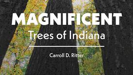 ‘Magnificent Trees of Indiana’
