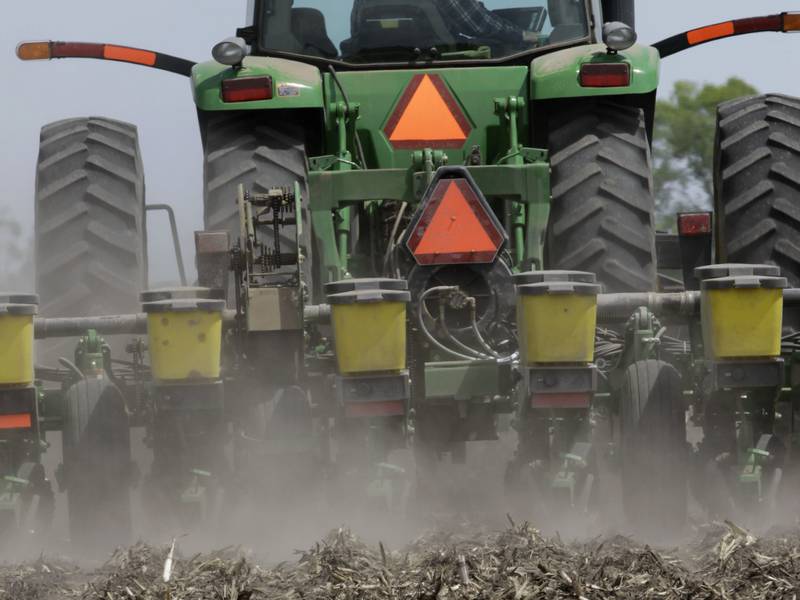 Aim for optimum planting depth