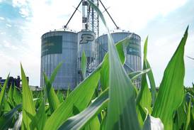 Preventing grain dust explosions