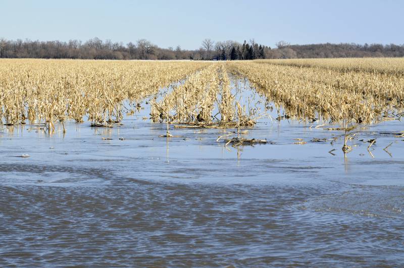 The availability of freshwater makes it possible to grow crops and raise livestock, but scarcity and excess both pose a growing concern that is still being settled by water law and policy.