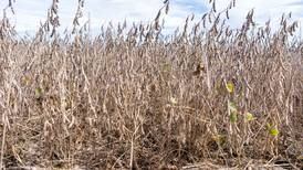 Celebrating Soybean Oil Masters graduates