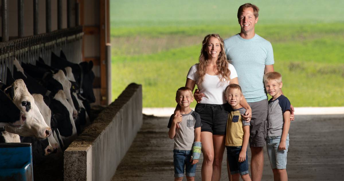 Progesterone monitoring improves reproduction efficiency of herd