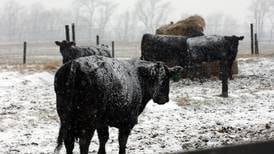 Farmers need a financial boost