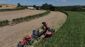 Brazil is uniquely positioned to weather rising world oil prices. Here is why