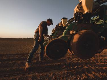 Spring planning matters now