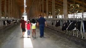 Illinois Milk Promotion Board seeks directors