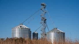 Grain dust explosion incidents decrease, fatalities increase