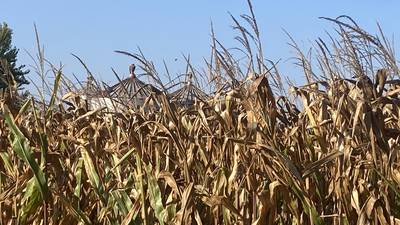 Illinois crop progress for week ending Sept. 28