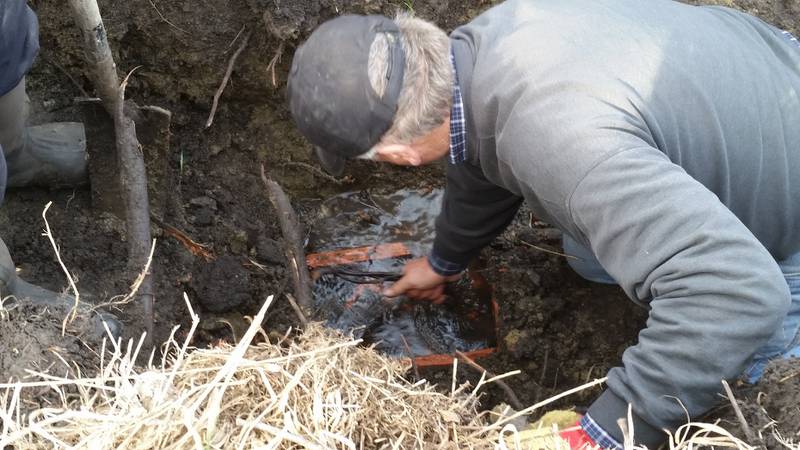 A farmer investigates a broken tile.