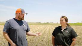 U of I research shows the value of Meristem products