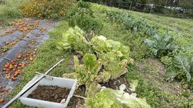 Study focuses on organics beliefs, microbiome effects